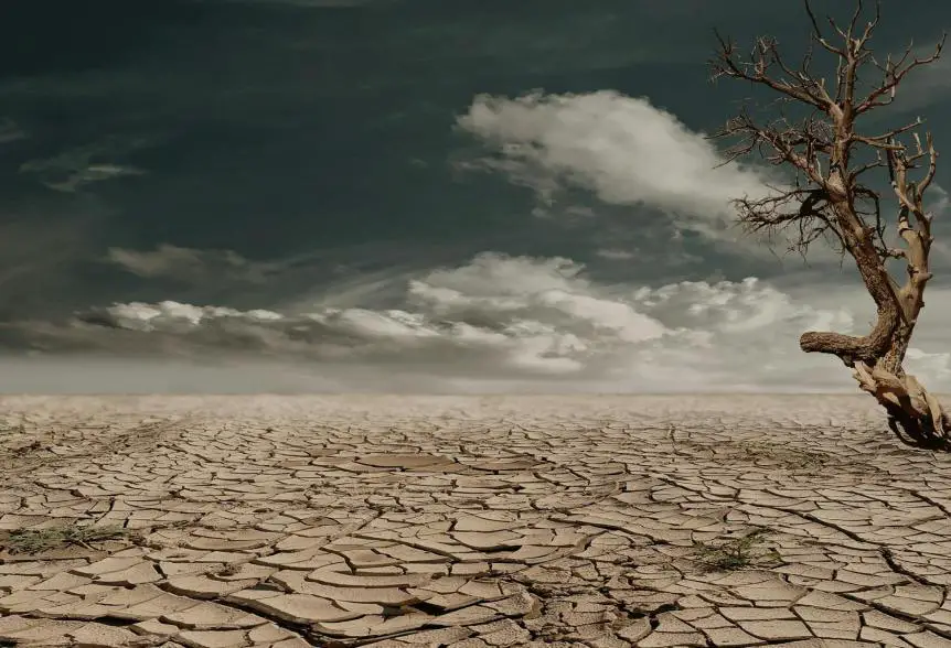 SEÑOR, ¿POR QUÉ NOS TRAJISTE AL DESIERTO?