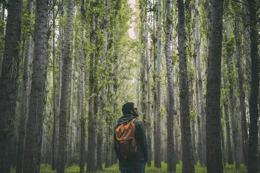 AVANCEMOS CON EL RESPALDO Y LA BENDICIÓN DE DIOS